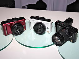 松下gf1數(shù)碼相機(jī)產(chǎn)品圖片29素材 it168數(shù)碼相機(jī)圖片大全